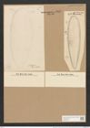 Surirella elegans var. norvegica (Eul.) Brun (de-Toni-Nr.: Genus 53, Species 2236) Zeichnungen Sammlung Grunow Nr. 4660 (NHMW-BOT-W0372725)